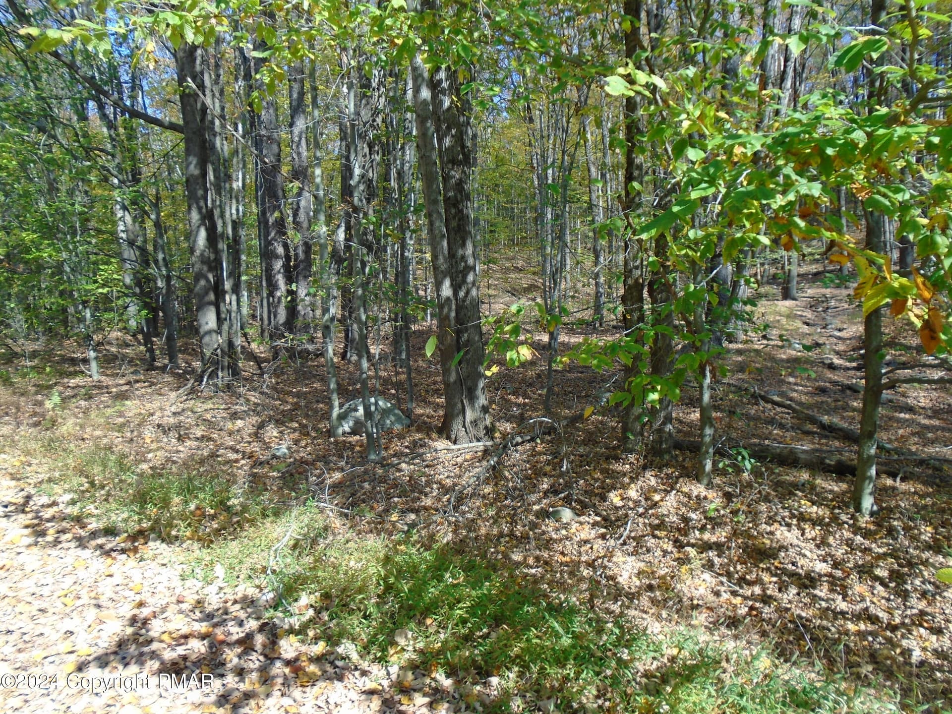 DSC00116 - RIVERSIDE Lane, Pocono Lake, PA 18347