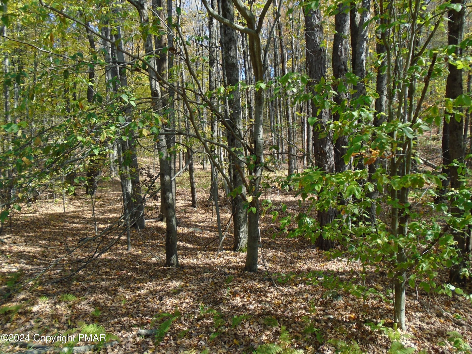 DSC00117 - RIVERSIDE Lane, Pocono Lake, PA 18347
