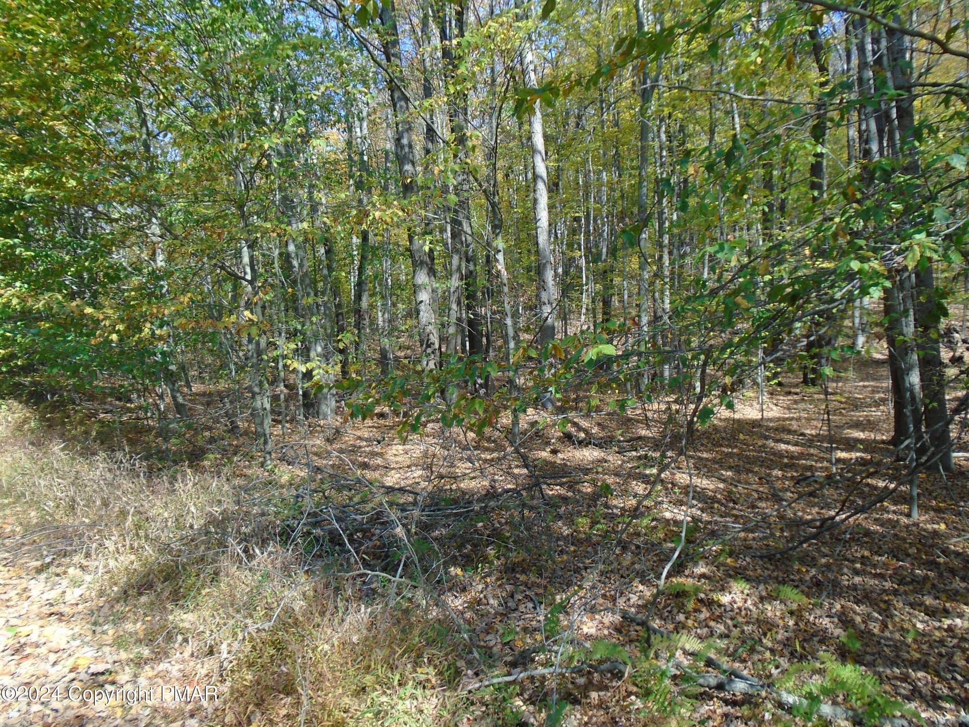 DSC00118 - RIVERSIDE Lane, Pocono Lake, PA 18347