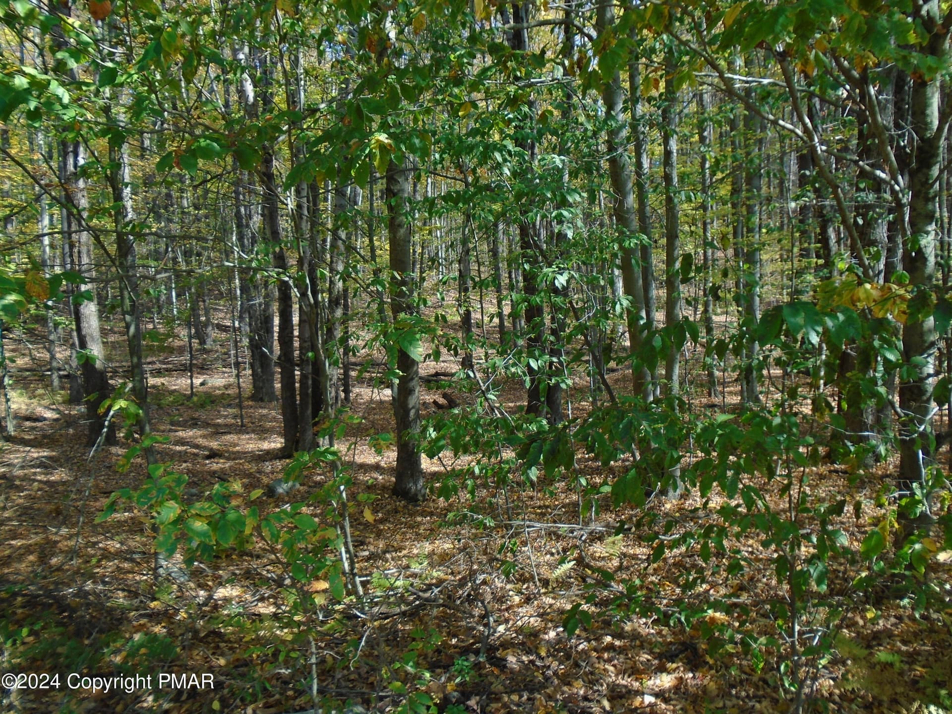 DSC00119 - RIVERSIDE Lane, Pocono Lake, PA 18347