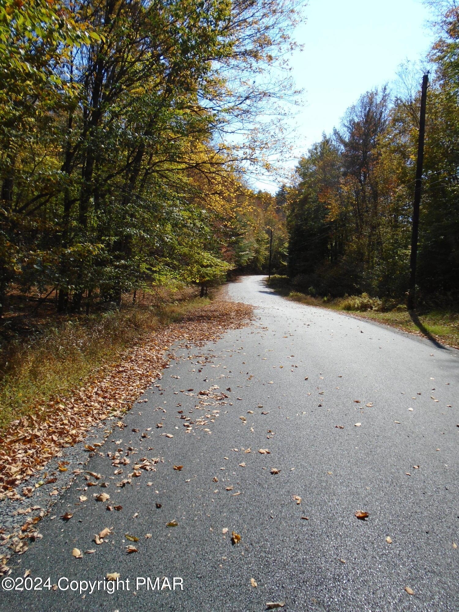 DSC00120 - RIVERSIDE Lane, Pocono Lake, PA 18347