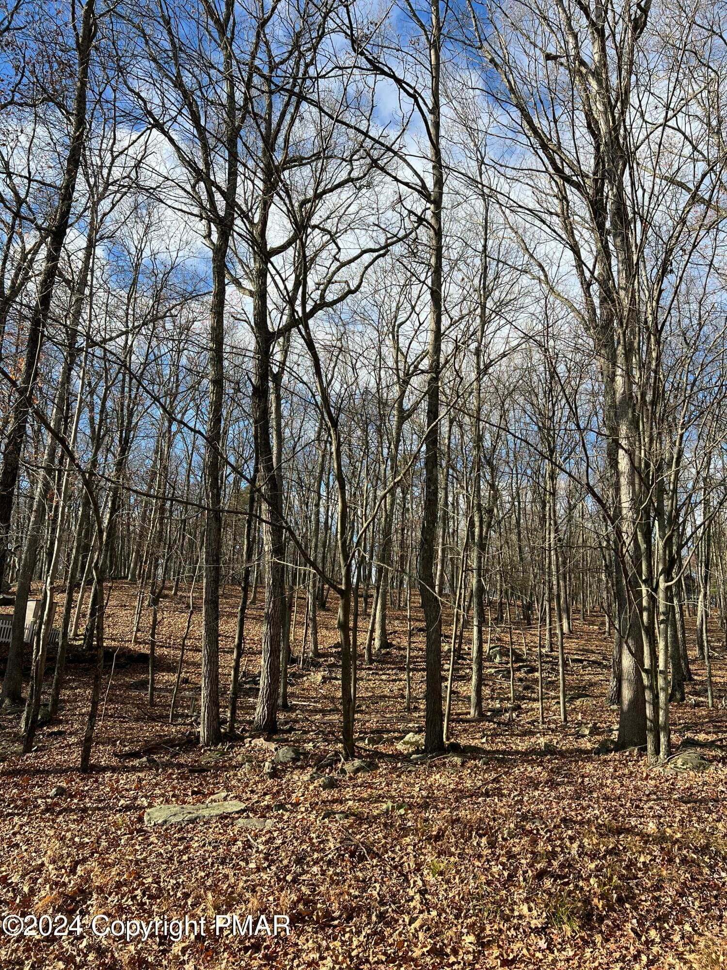 from the road 2 - 229 Forest Ridge Drive, Hawley, PA 18428, Hawley