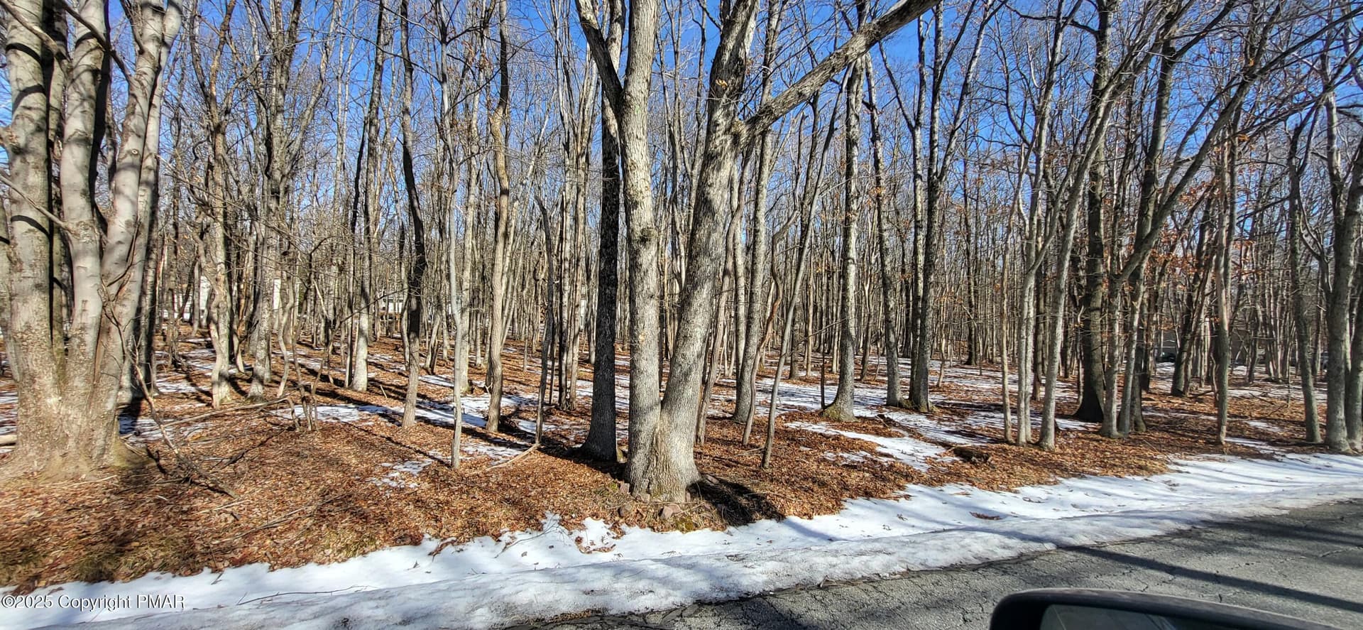 Mohawk Trail, Albrightsville, PA 18210