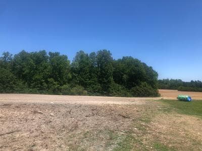 Photo 2 - 6035 Burlington Road, Sedalia, NC 27249