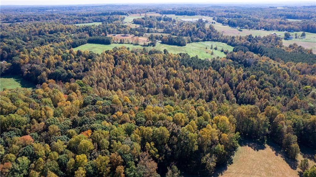 Photo 3 - 3001 Headen Country Trail, Staley, NC 27355