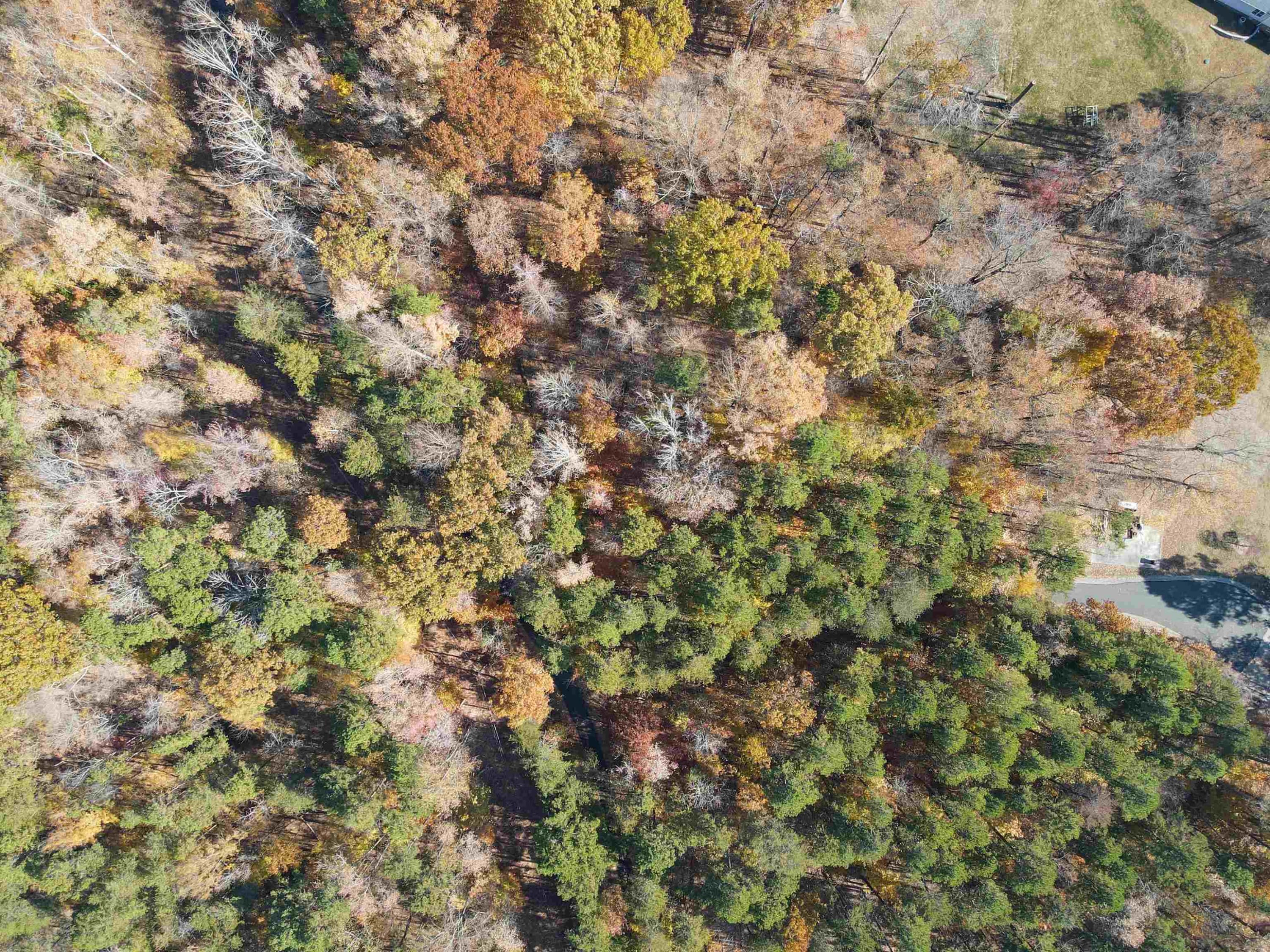 Photo 6 - 28 Greenway Drive, Semora, NC 27343