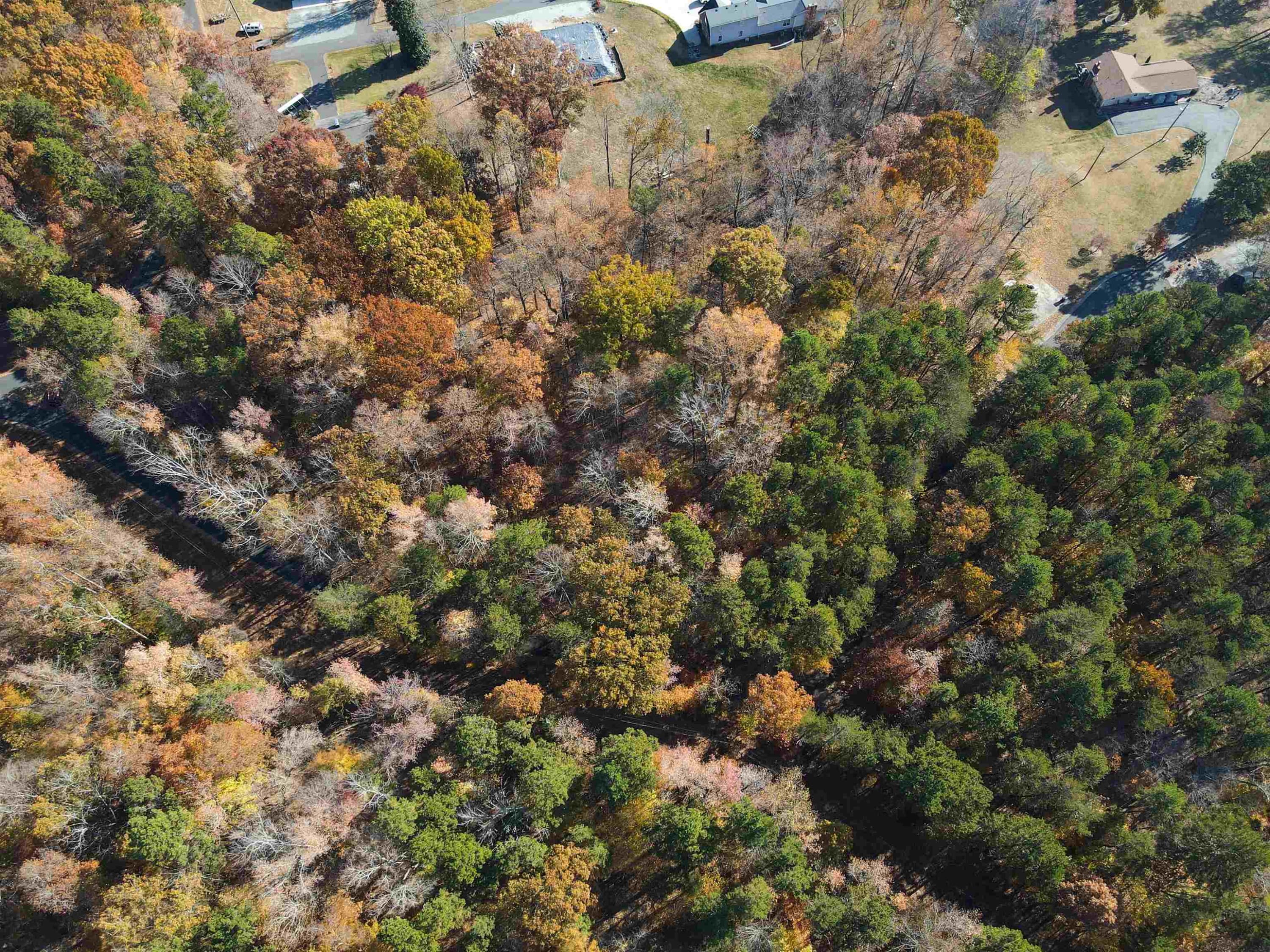 Photo 7 - 28 Greenway Drive, Semora, NC 27343