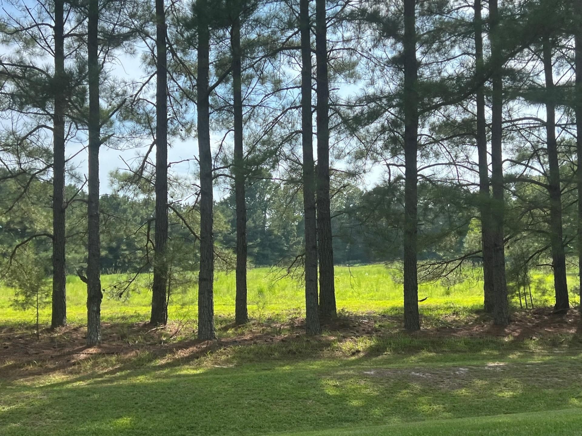 Photo 3 - 3466 Matthews Mill Pond Road, Angier, NC 27501