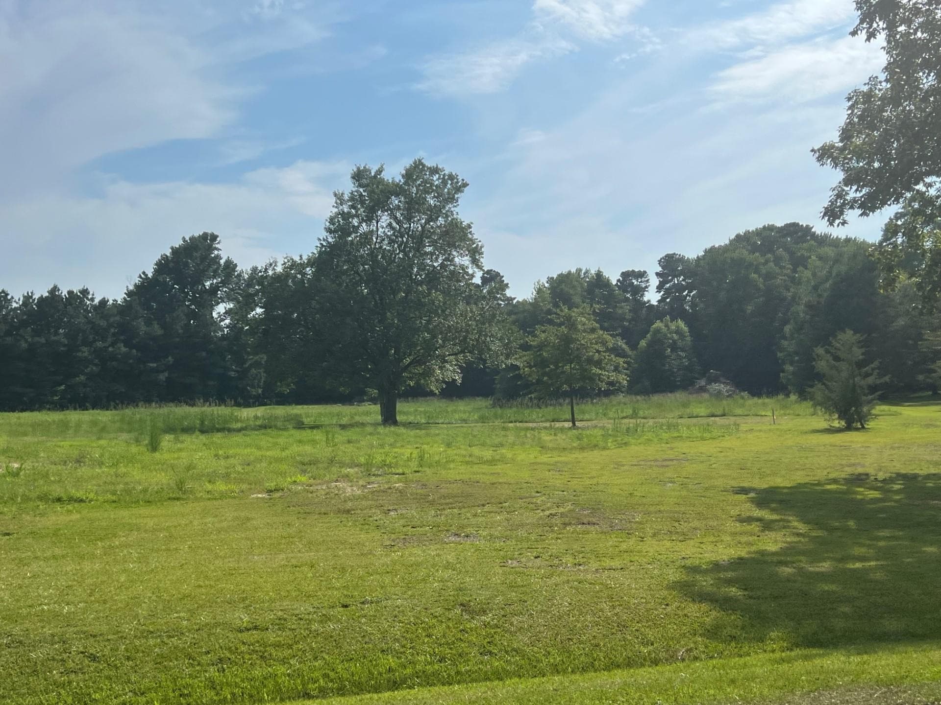 Photo 6 - 3466 Matthews Mill Pond Road, Angier, NC 27501