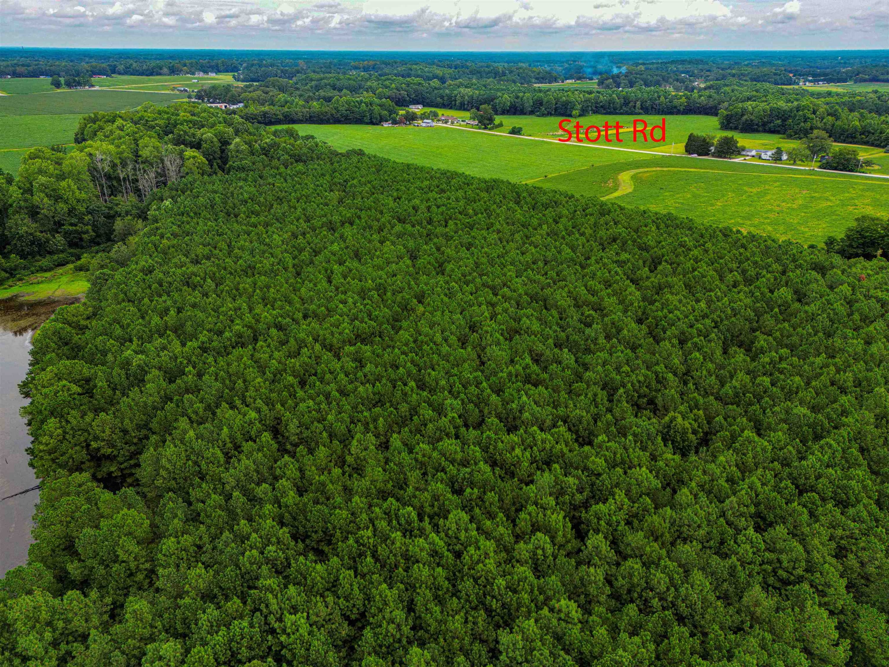 Photo 3 - 00 S Nc 581 Highway, Bailey, NC 27807