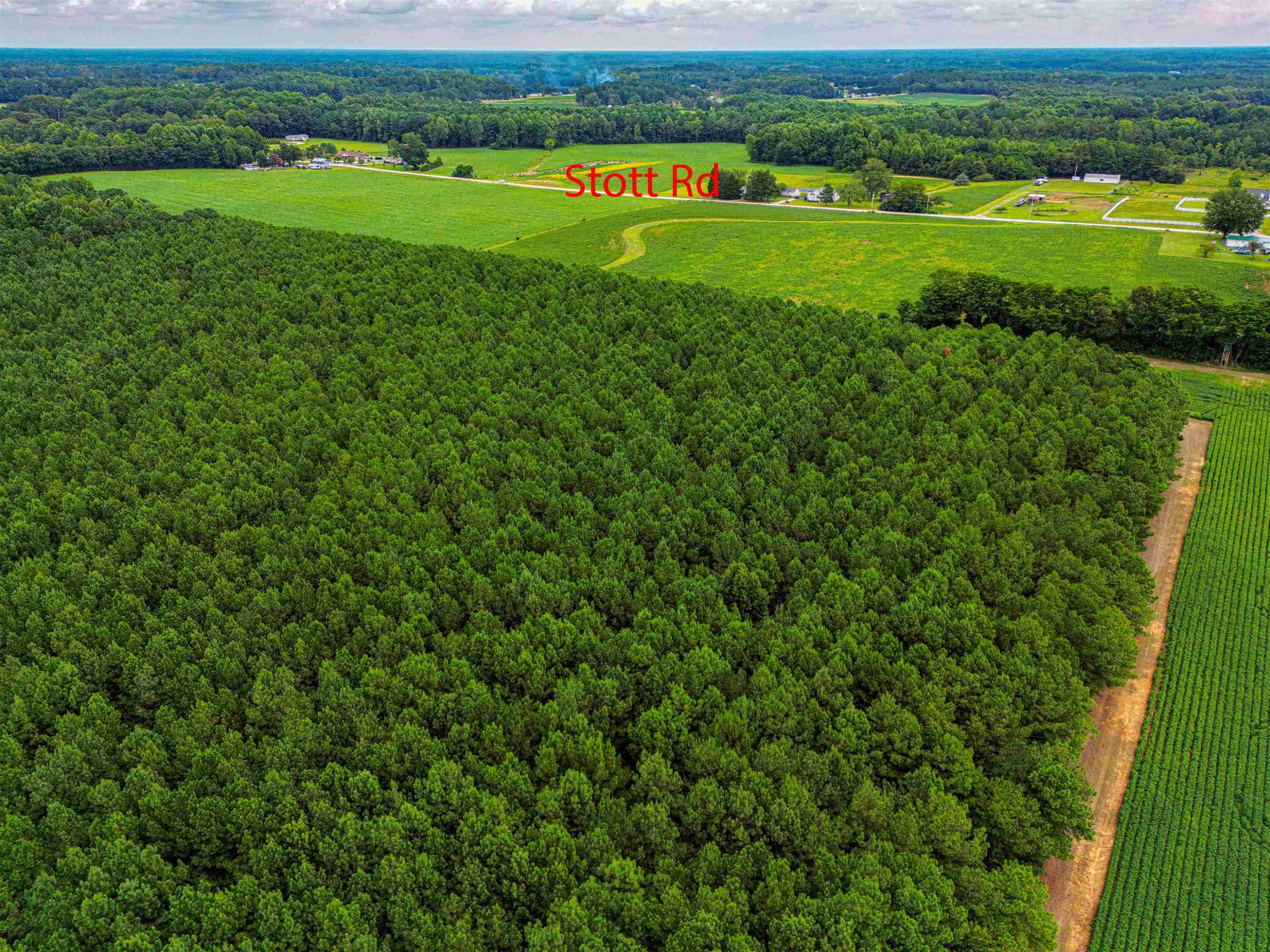 Photo 5 - 00 S Nc 581 Highway, Bailey, NC 27807