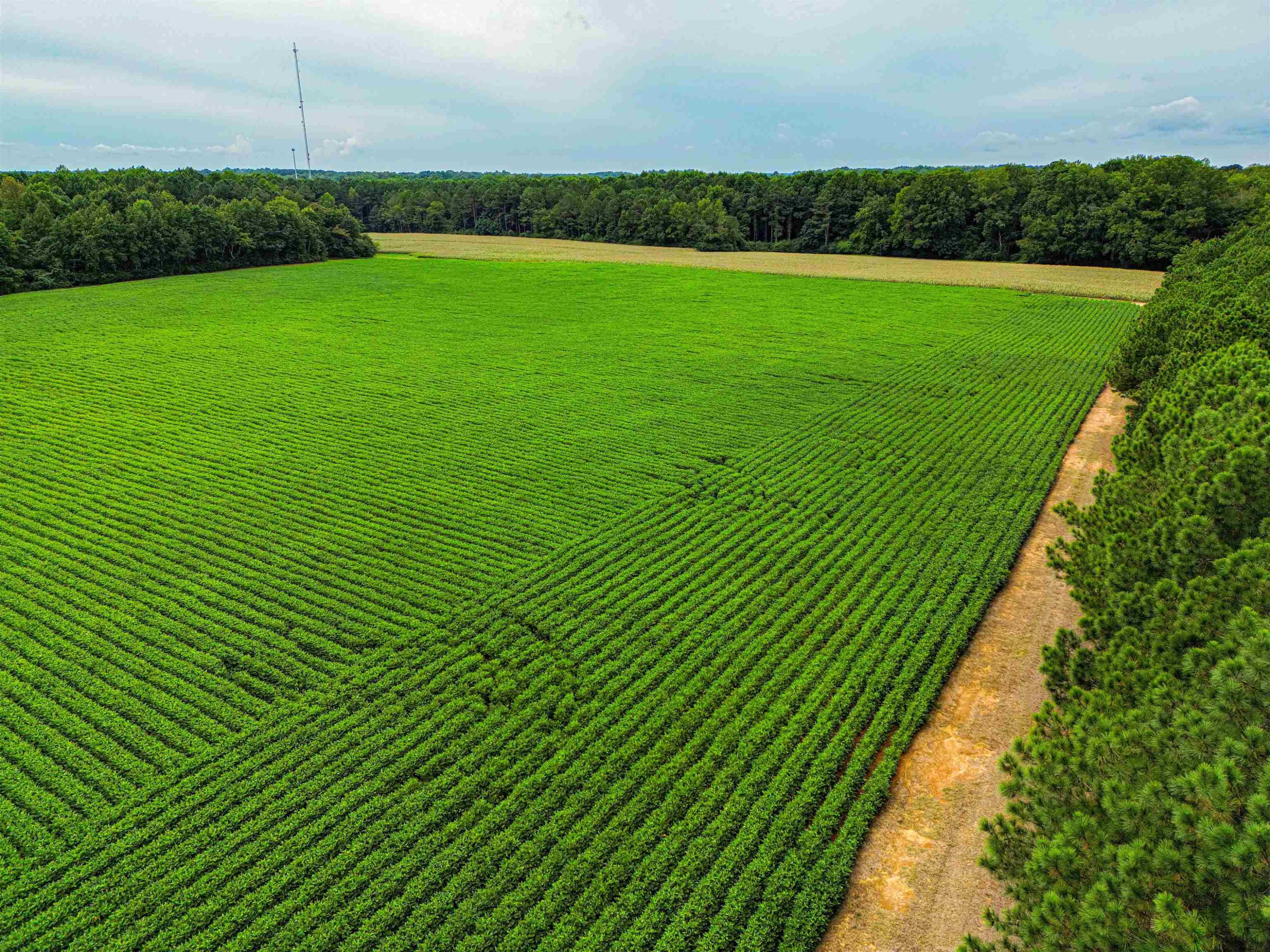 Photo 10 - 00 S Nc 581 Highway, Bailey, NC 27807