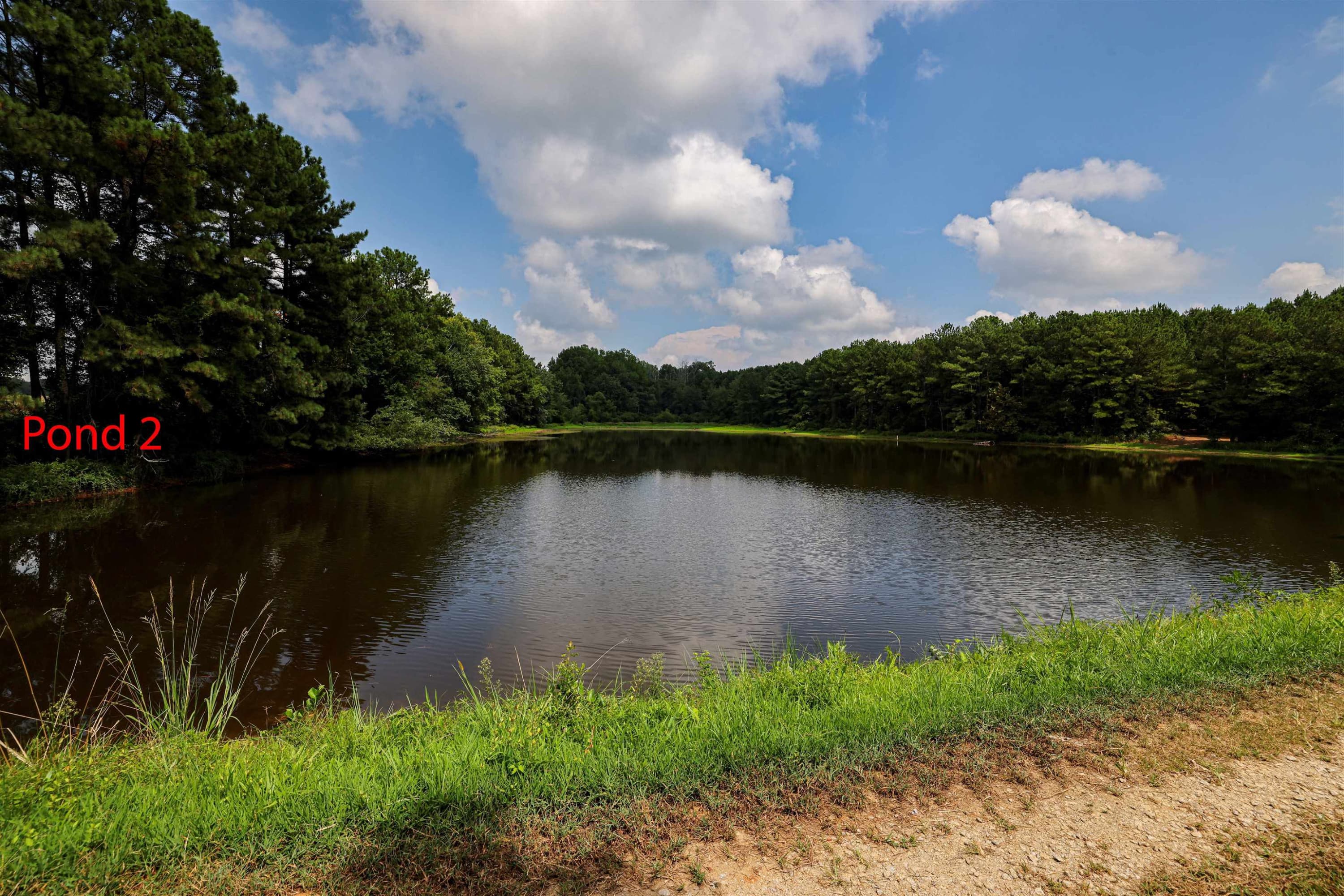 Photo 27 - 00 S Nc 581 Highway, Bailey, NC 27807