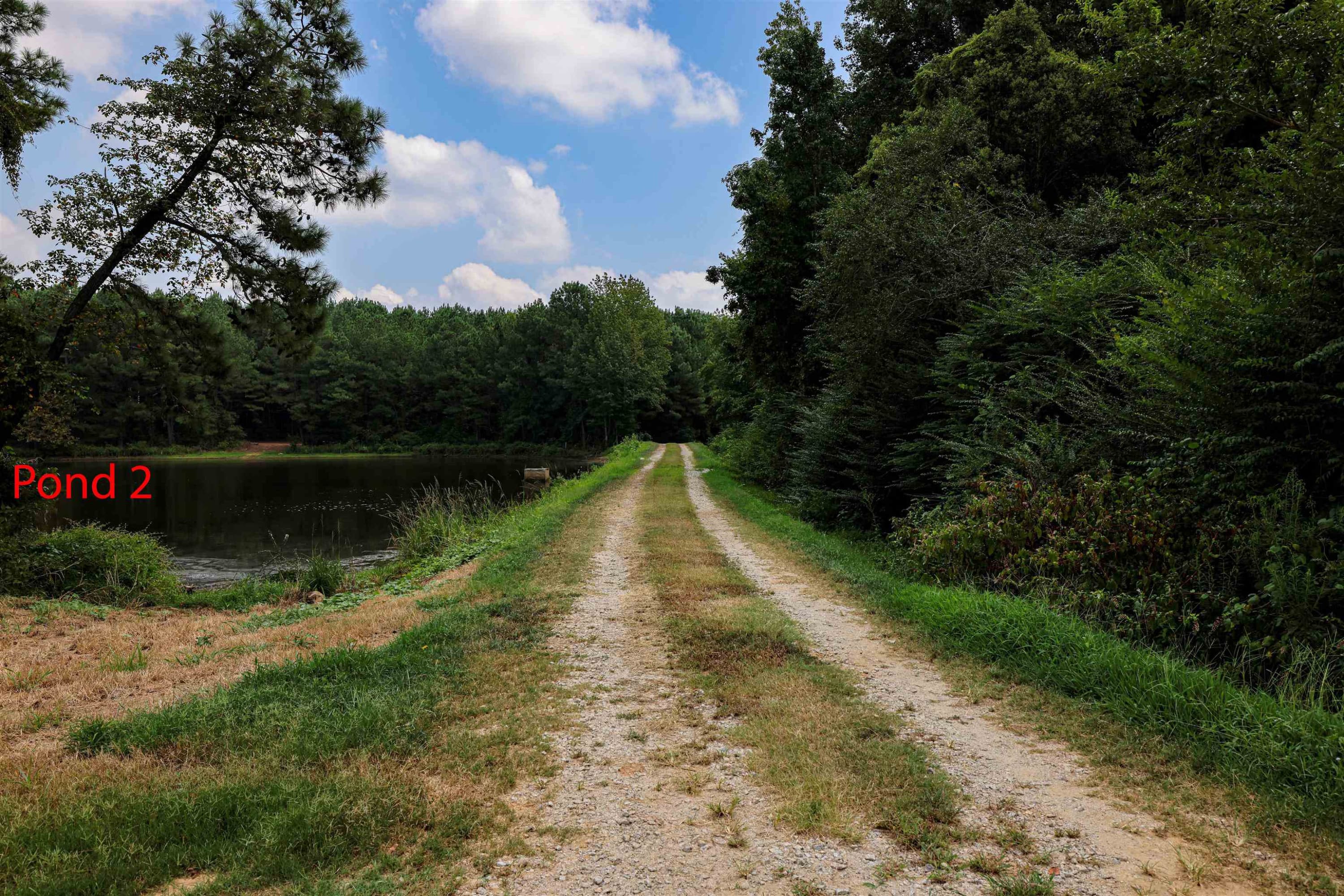 Photo 28 - 00 S Nc 581 Highway, Bailey, NC 27807