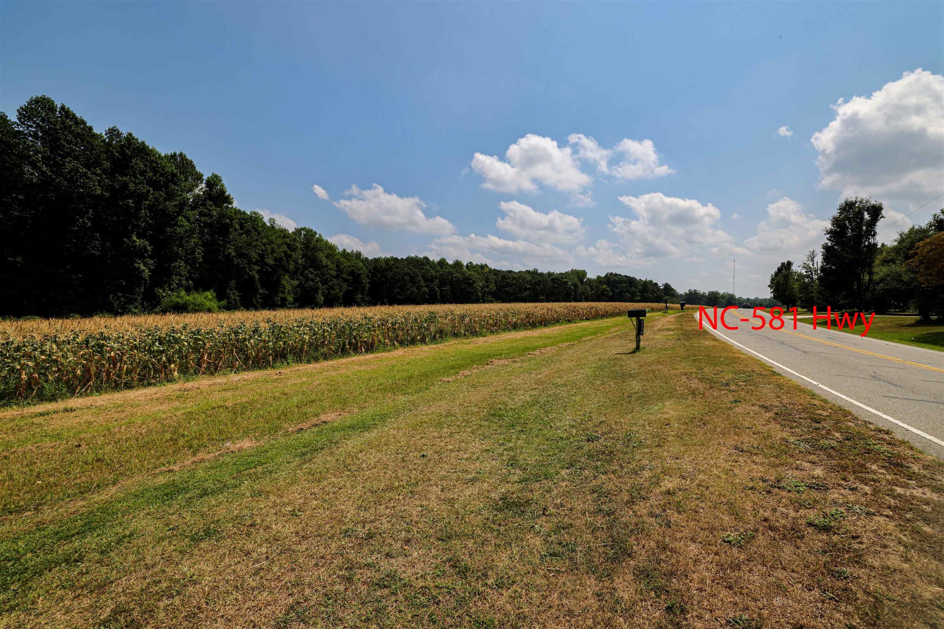 Photo 35 - 00 S Nc 581 Highway, Bailey, NC 27807
