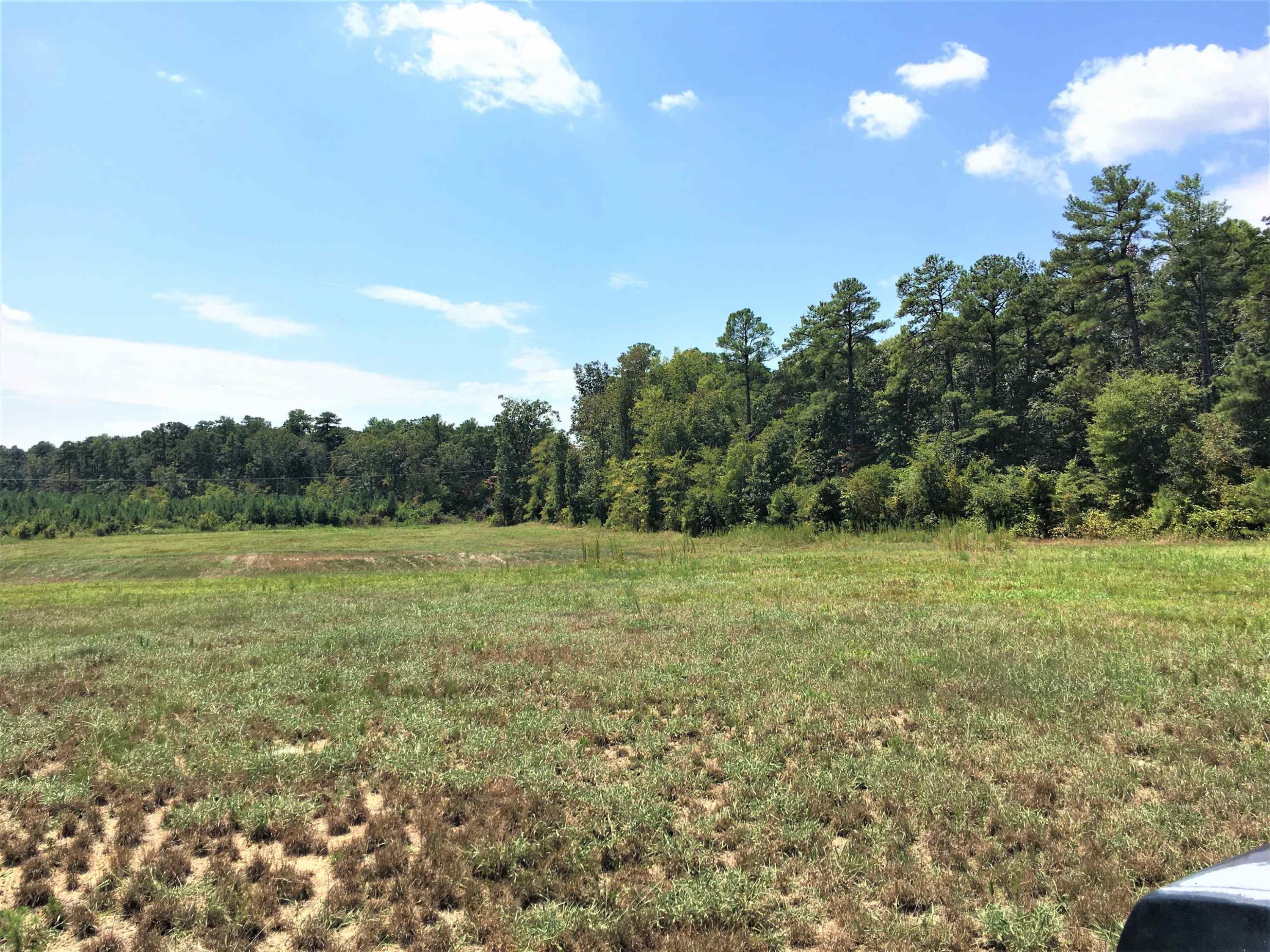 Photo 14 - 3125 W Third Street, Siler City, NC 27344