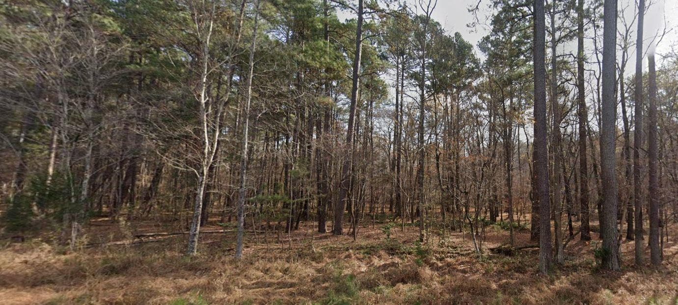 Photo 1 - 8430 Orange Grove Road, Chapel Hill, NC 27516, Chapel Hill