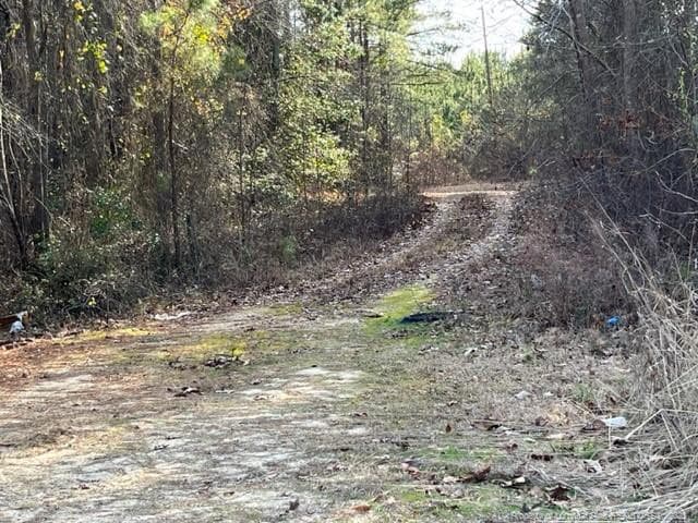 View down easement - NC 24-87, Cameron, NC 28326