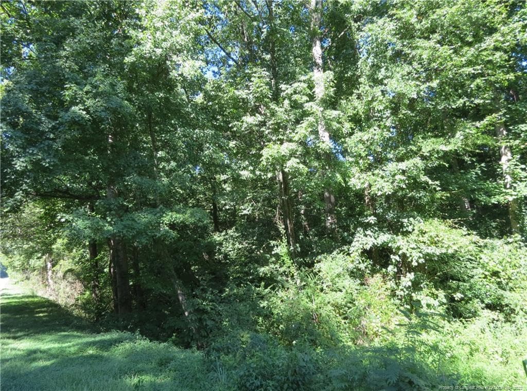 Additional view towards Deep River - 30 Lockville Road, Moncure, NC 27559