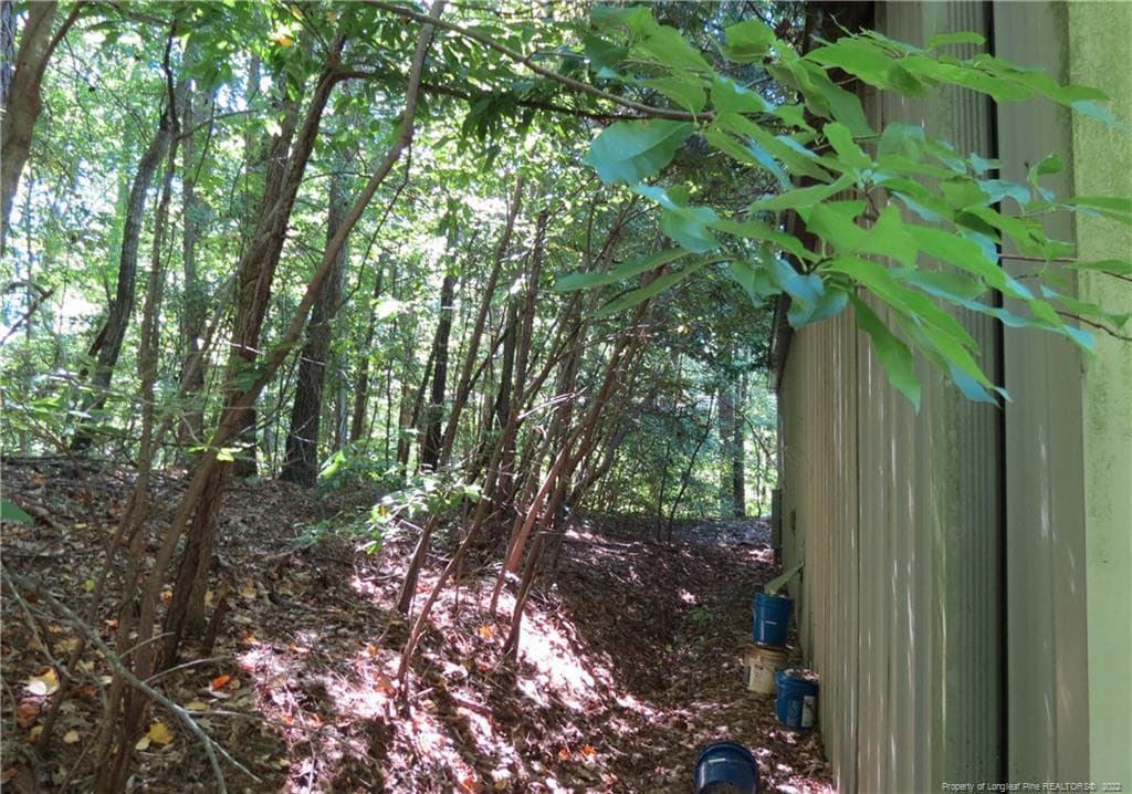 Current view back - 30 Lockville Road, Moncure, NC 27559
