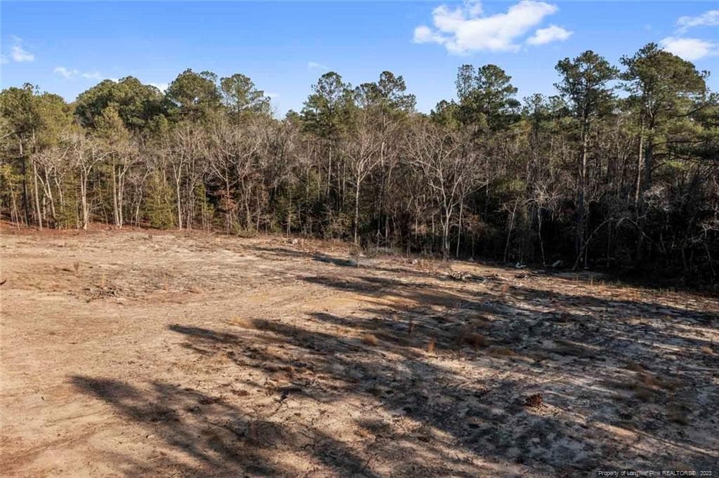 Photo 7 - Cherrywood Lane, Cameron, NC 28326
