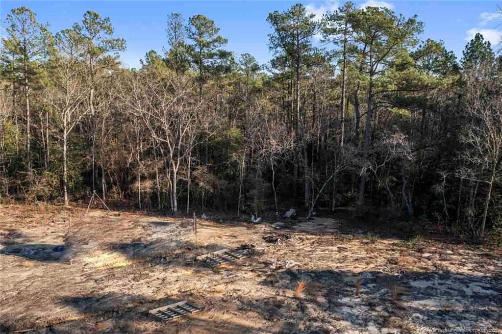 Photo 9 - Cherrywood Lane, Cameron, NC 28326