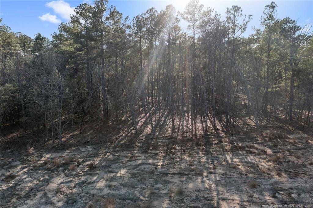 Photo 9 - Cherrywood Lane, Cameron, NC 28326