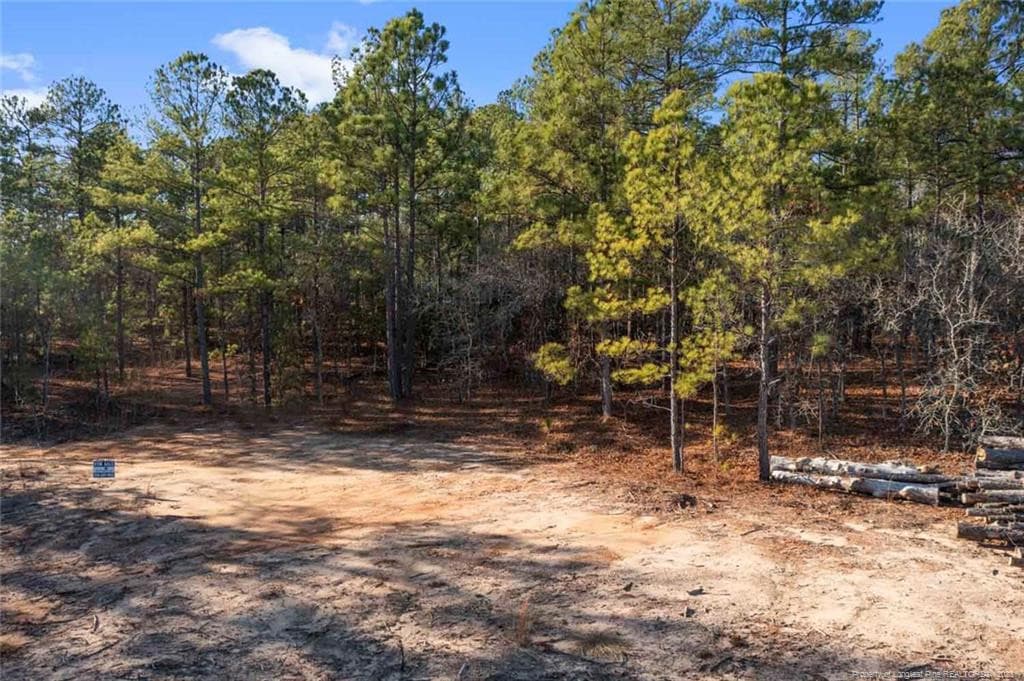 Photo 11 - Cherrywood Lane, Cameron, NC 28326