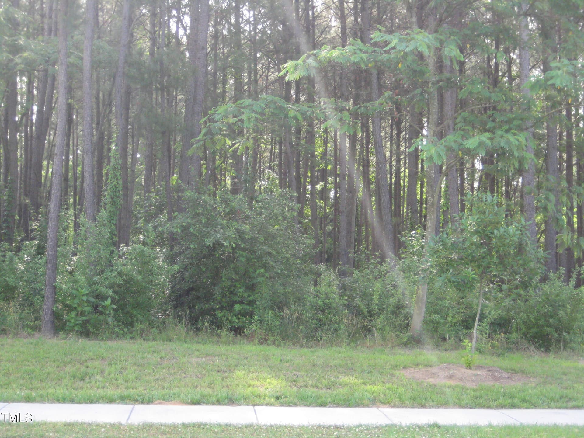 0 Us Hwy 1, Youngsville, NC 27596