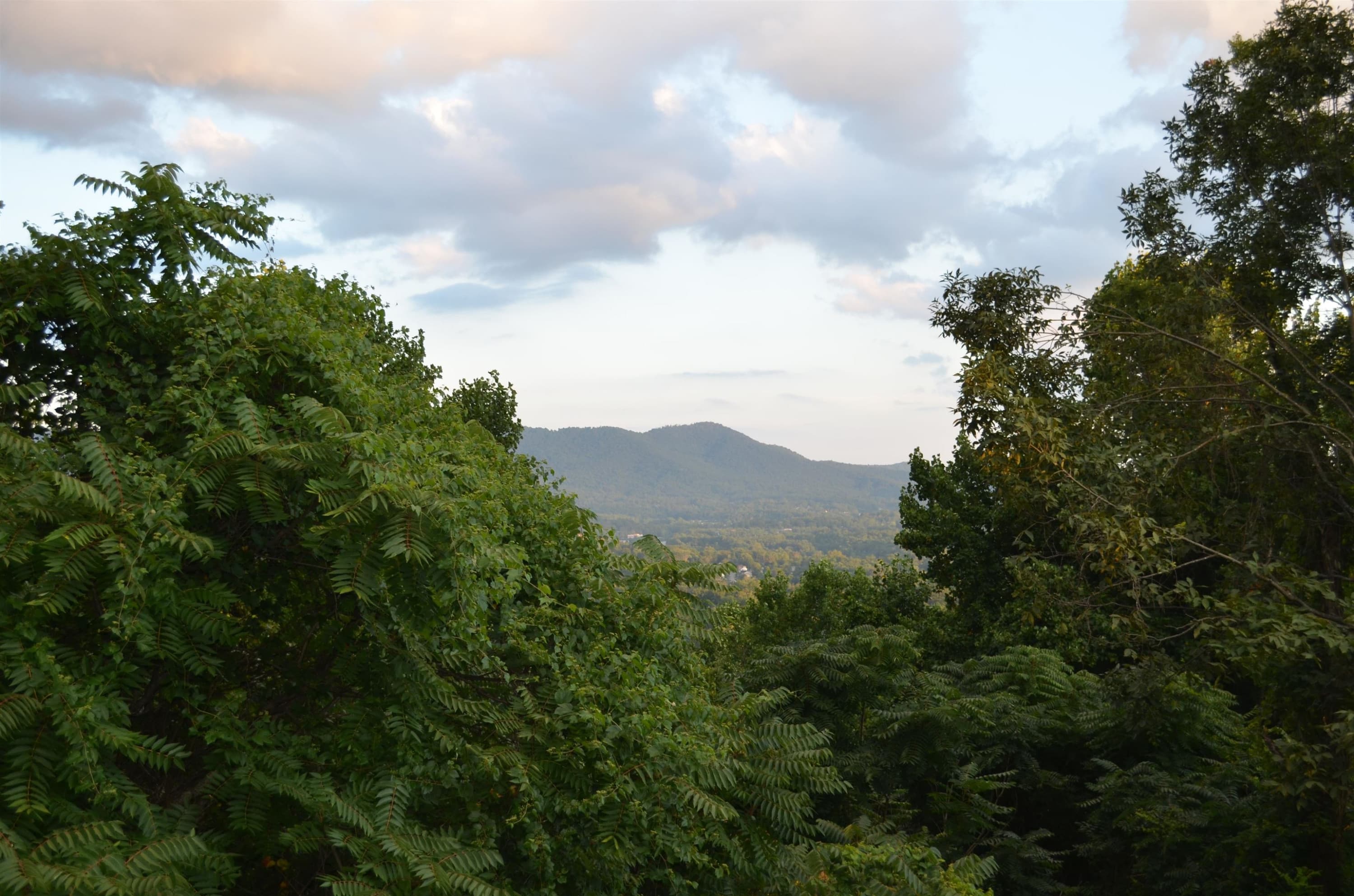 Photo 13 - 422 Windswept Drive 422, Asheville, NC 28801, Asheville