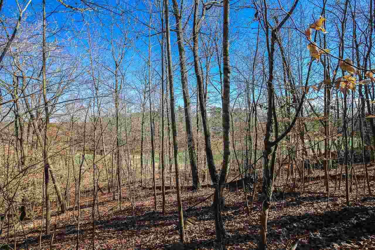 Photo 8 - 55235 Broughton, Chapel Hill, NC 27517, Chapel Hill