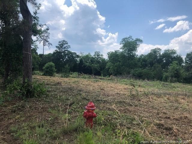 Property - 6415 Fayetteville Road, Raeford, NC 28376, Raeford