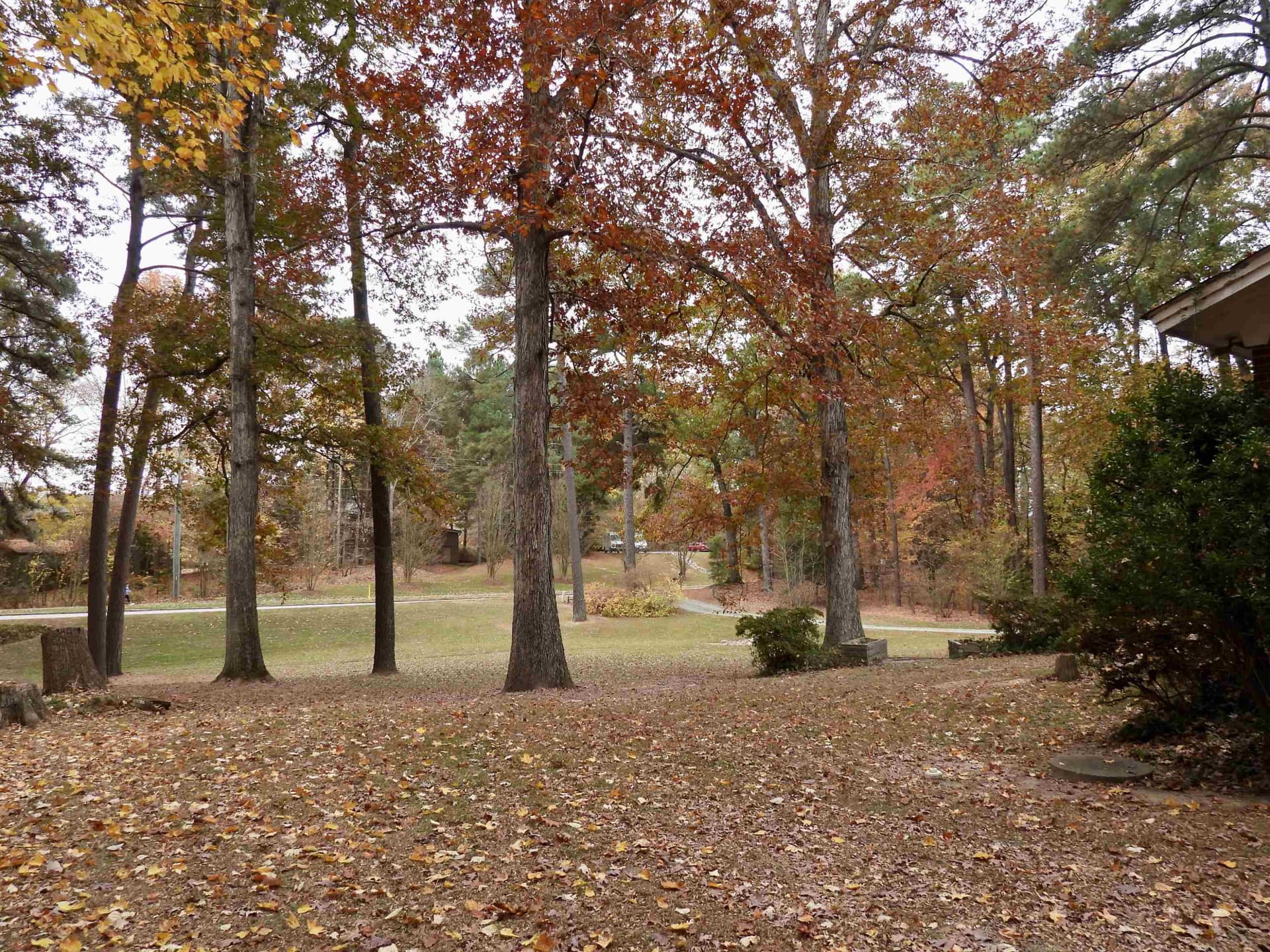 Photo 37 - 3007 Old Raleigh Road, Apex, NC 27502