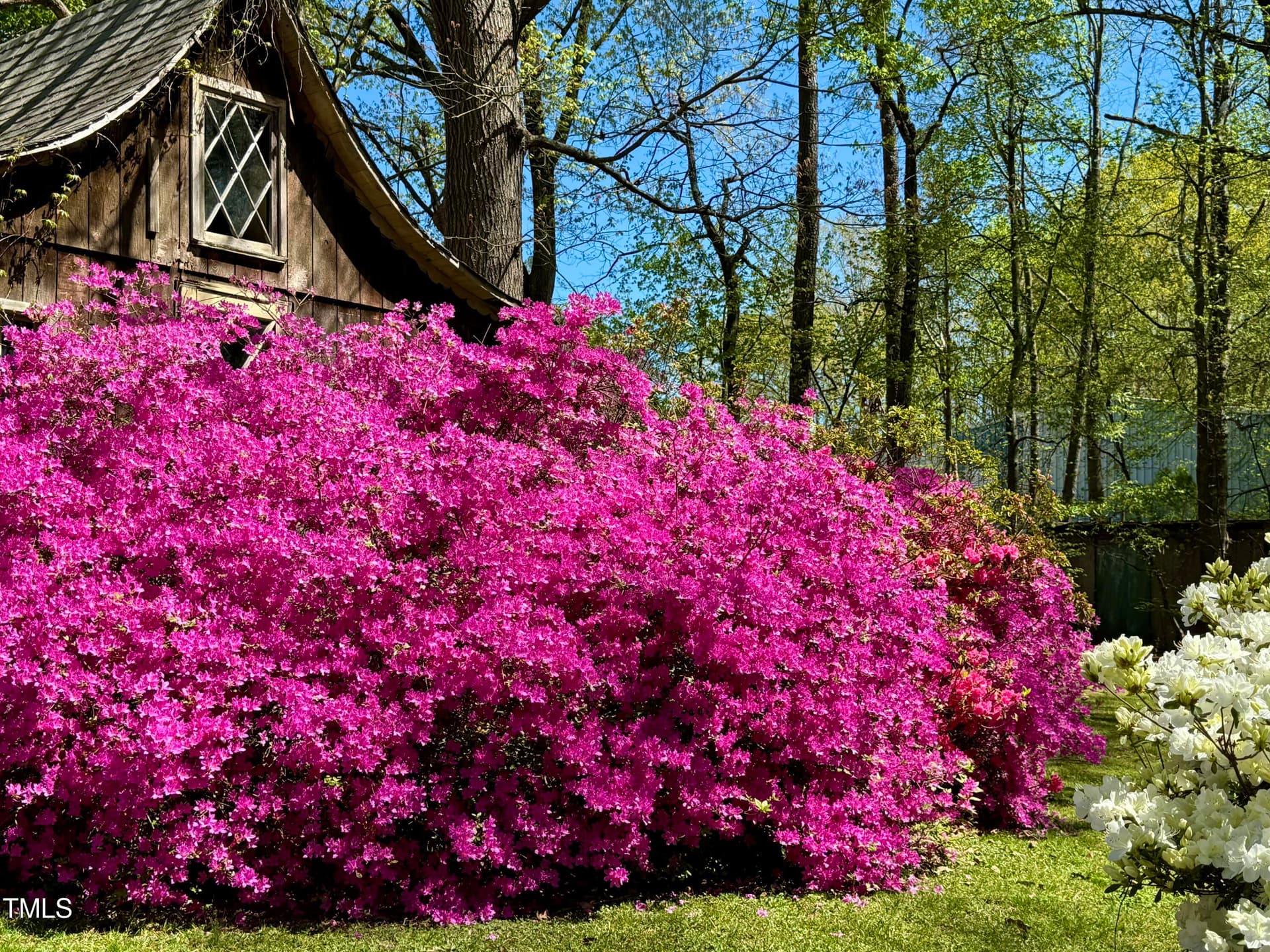 IMG_0773 - 3007 Old Raleigh Road, Apex, NC 27502