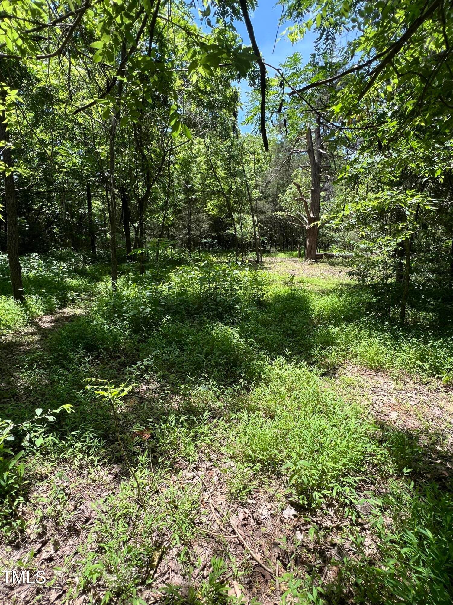 IMG_8865 - 2201 Moorefields Rd, Hillsborough, NC 27278
