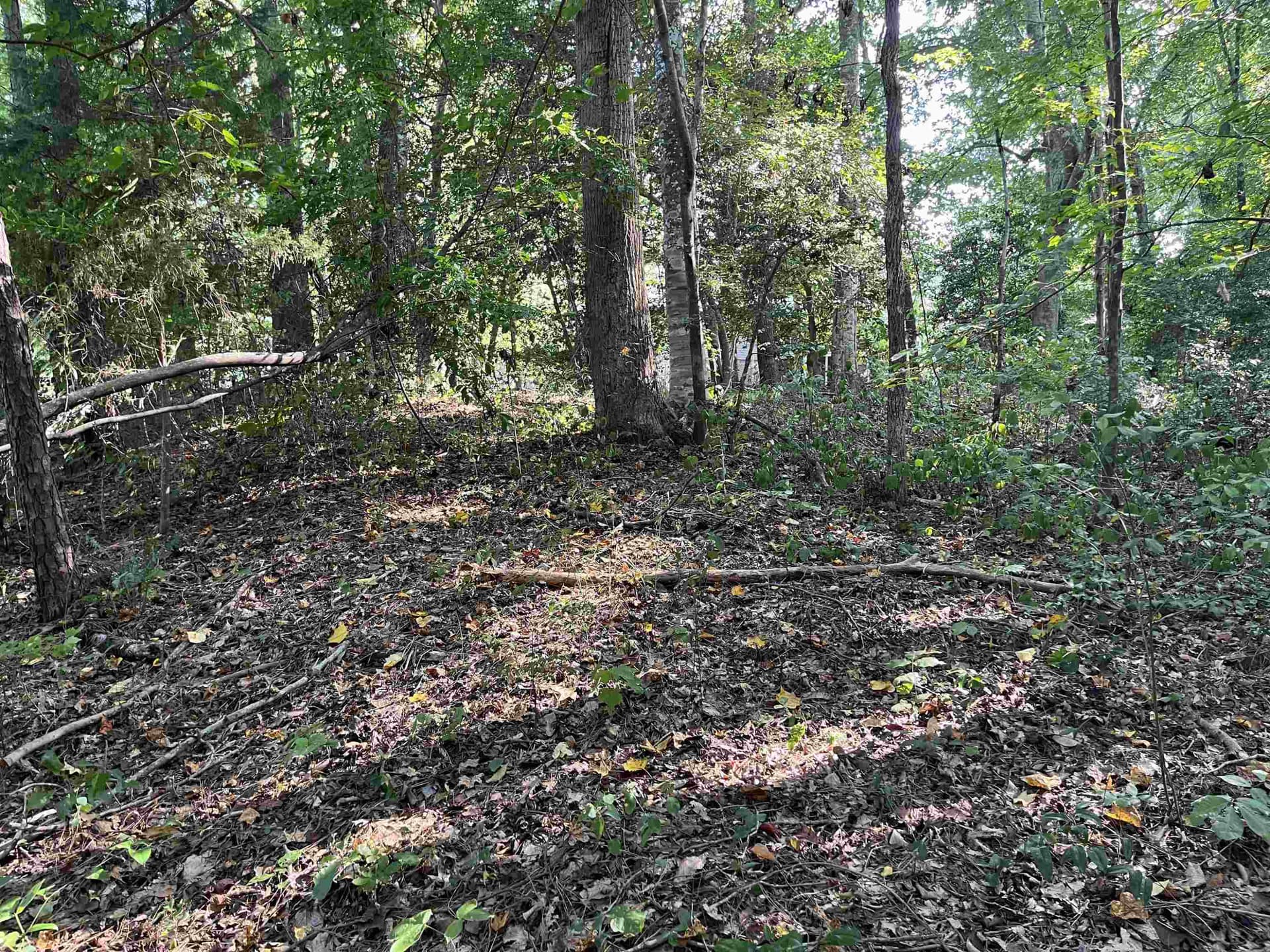 Photo 2 - Tbd Country Canyon Drive, Rockingham, NC 28379