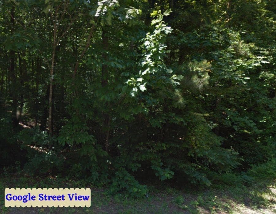 Photo 15 - Tbd Country Canyon Drive, Rockingham, NC 28379