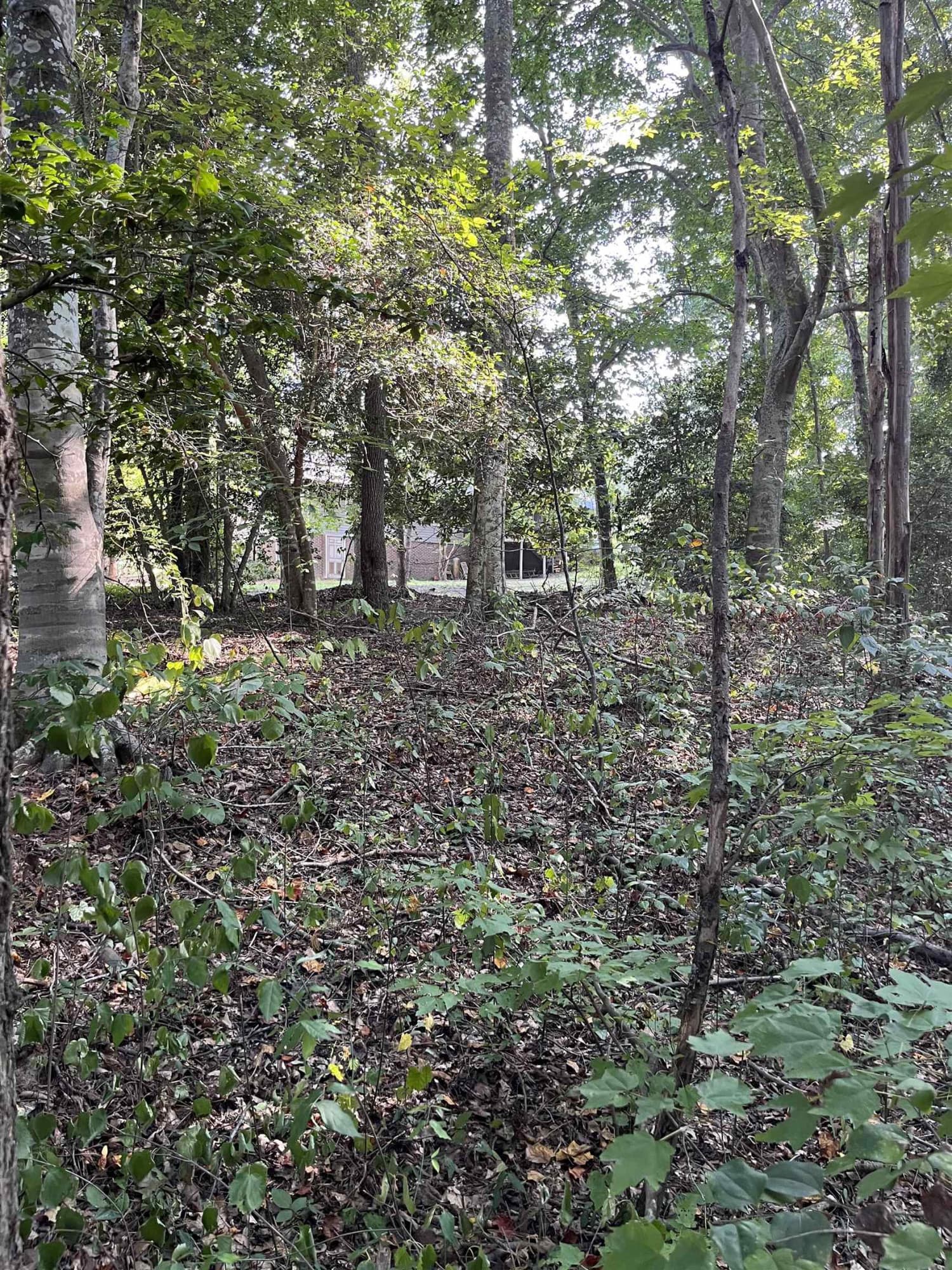 Photo 18 - Tbd Country Canyon Drive, Rockingham, NC 28379