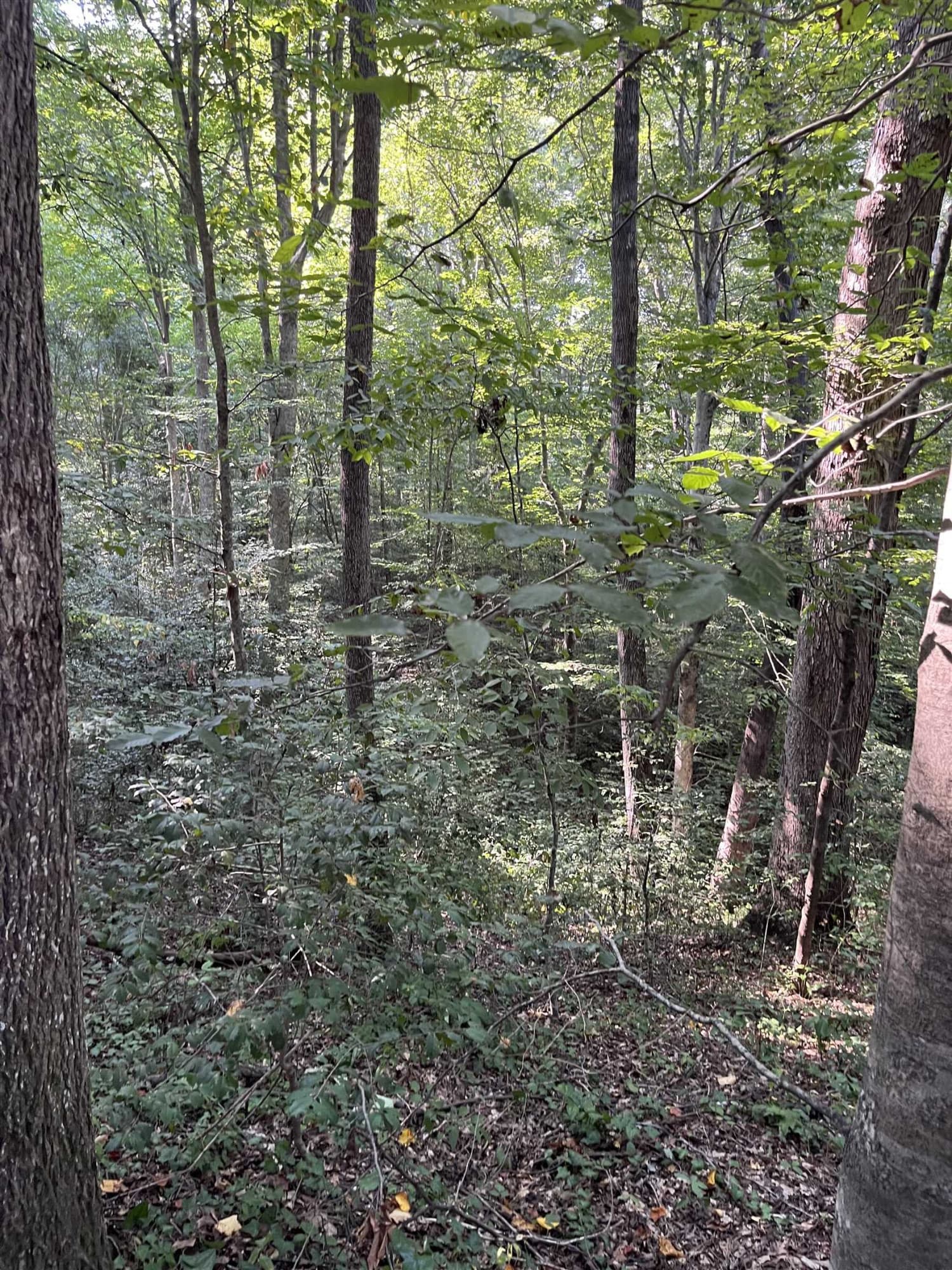 Photo 20 - Tbd Country Canyon Drive, Rockingham, NC 28379