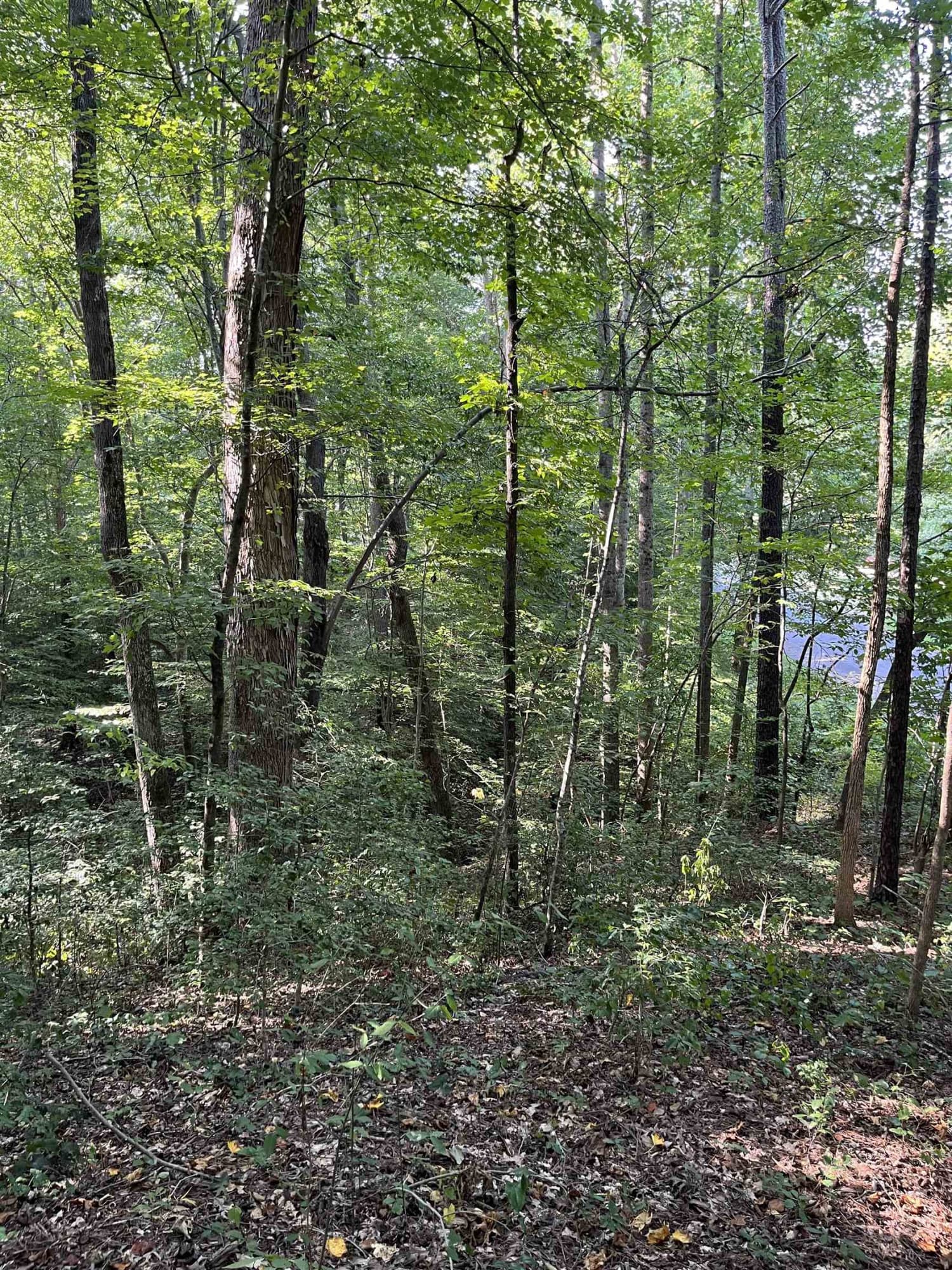 Photo 21 - Tbd Country Canyon Drive, Rockingham, NC 28379