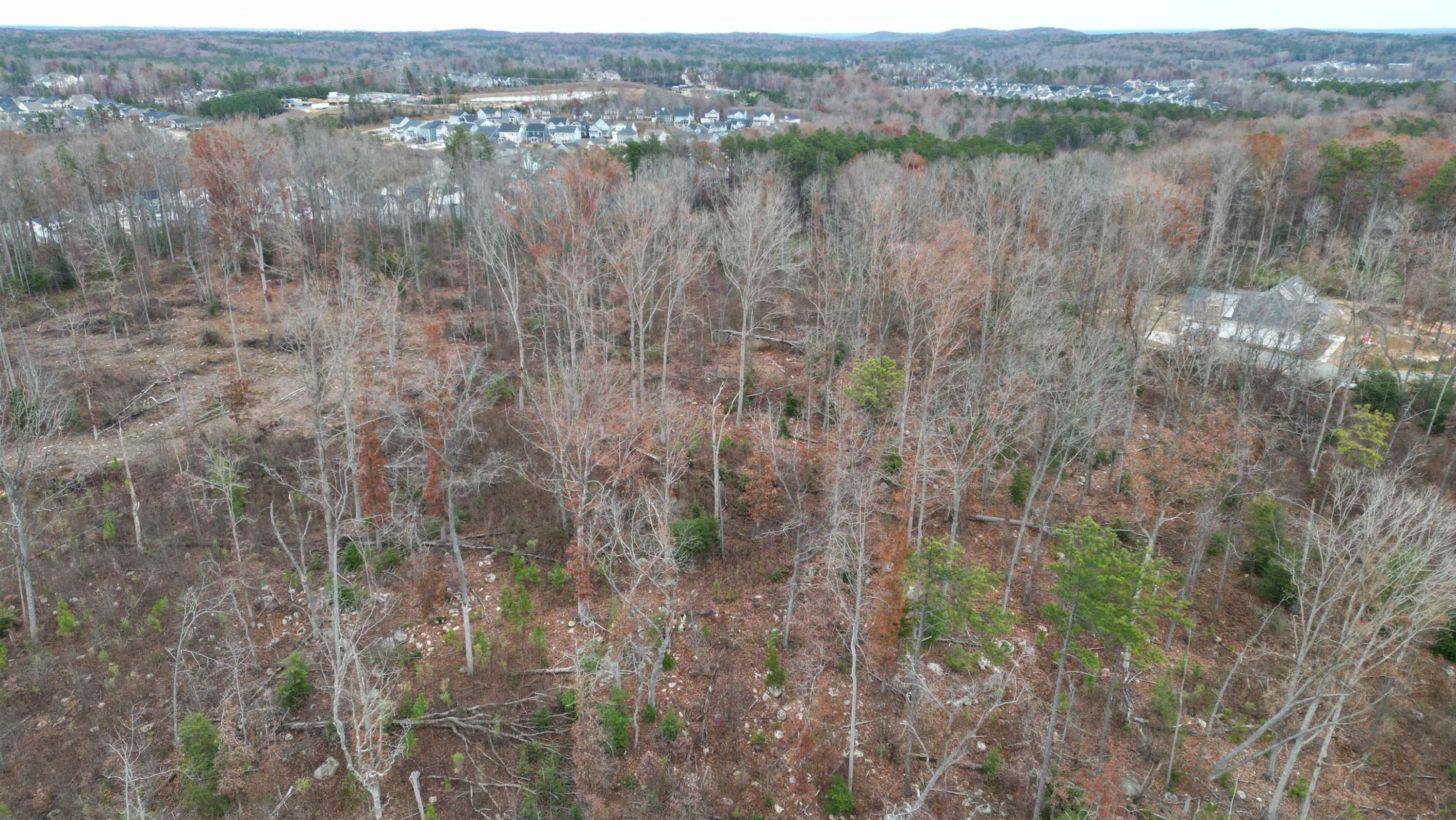 Photo 14 - 78 Scott Ridge Drive, Pittsboro, NC 27312