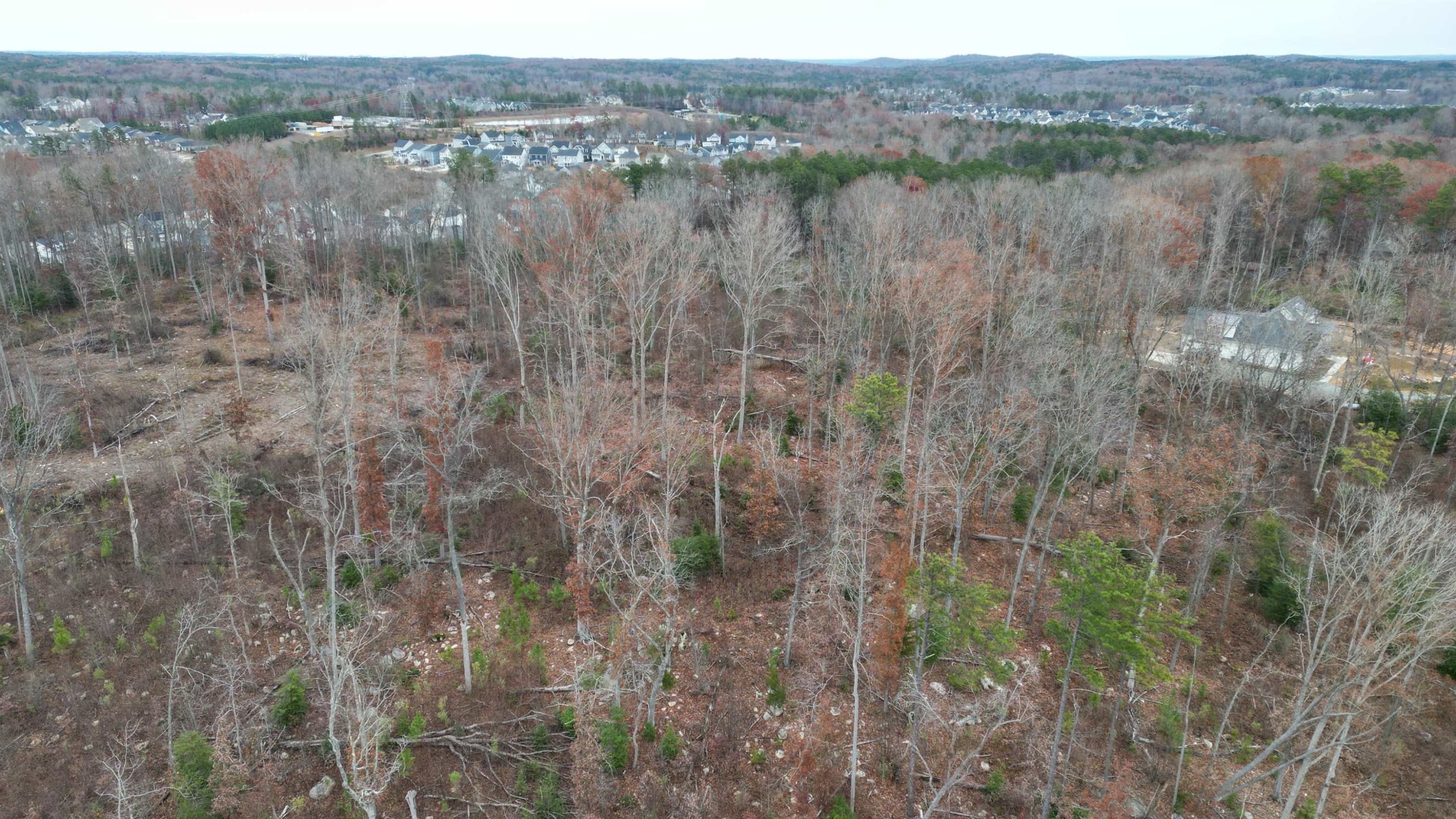 Photo 15 - 78 Scott Ridge Drive, Pittsboro, NC 27312