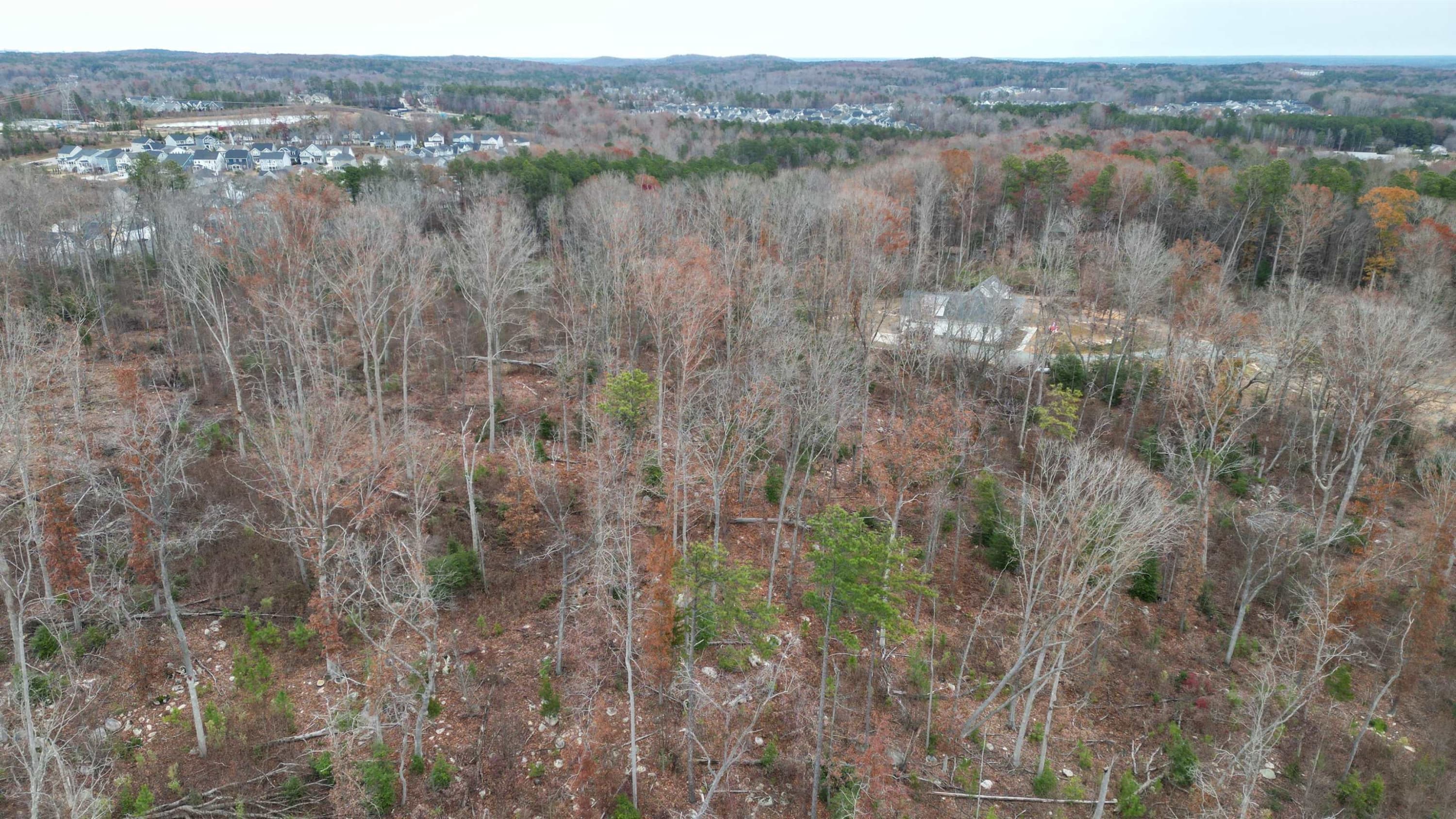 Photo 16 - 78 Scott Ridge Drive, Pittsboro, NC 27312