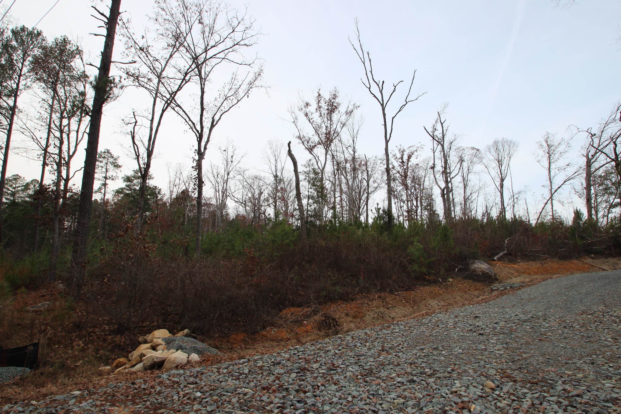 Photo 19 - 78 Scott Ridge Drive, Pittsboro, NC 27312