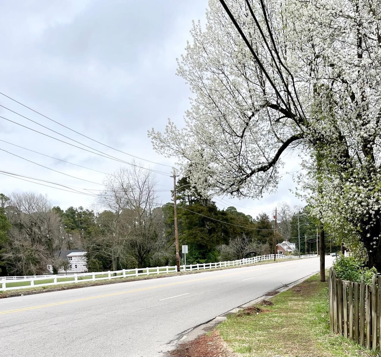 Photo 3 - 00 Oxford Rd/Southern Ave Road, Henderson, NC 27536