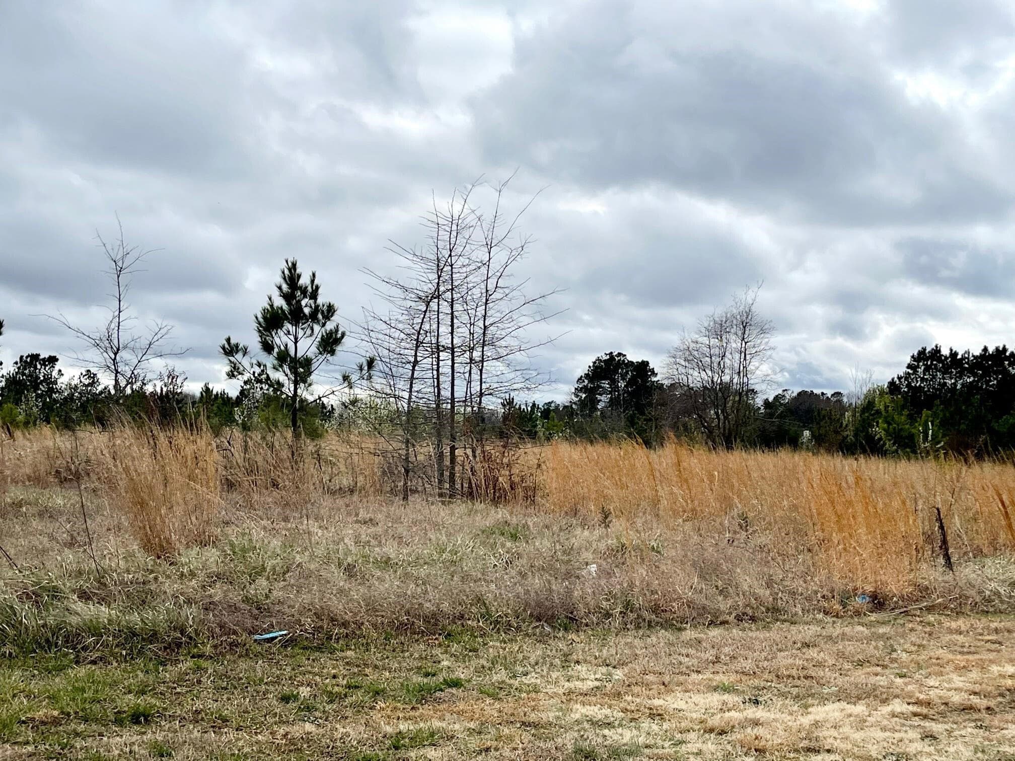 Photo 15 - 00 S Garnett Street, Henderson, NC 27536, Henderson
