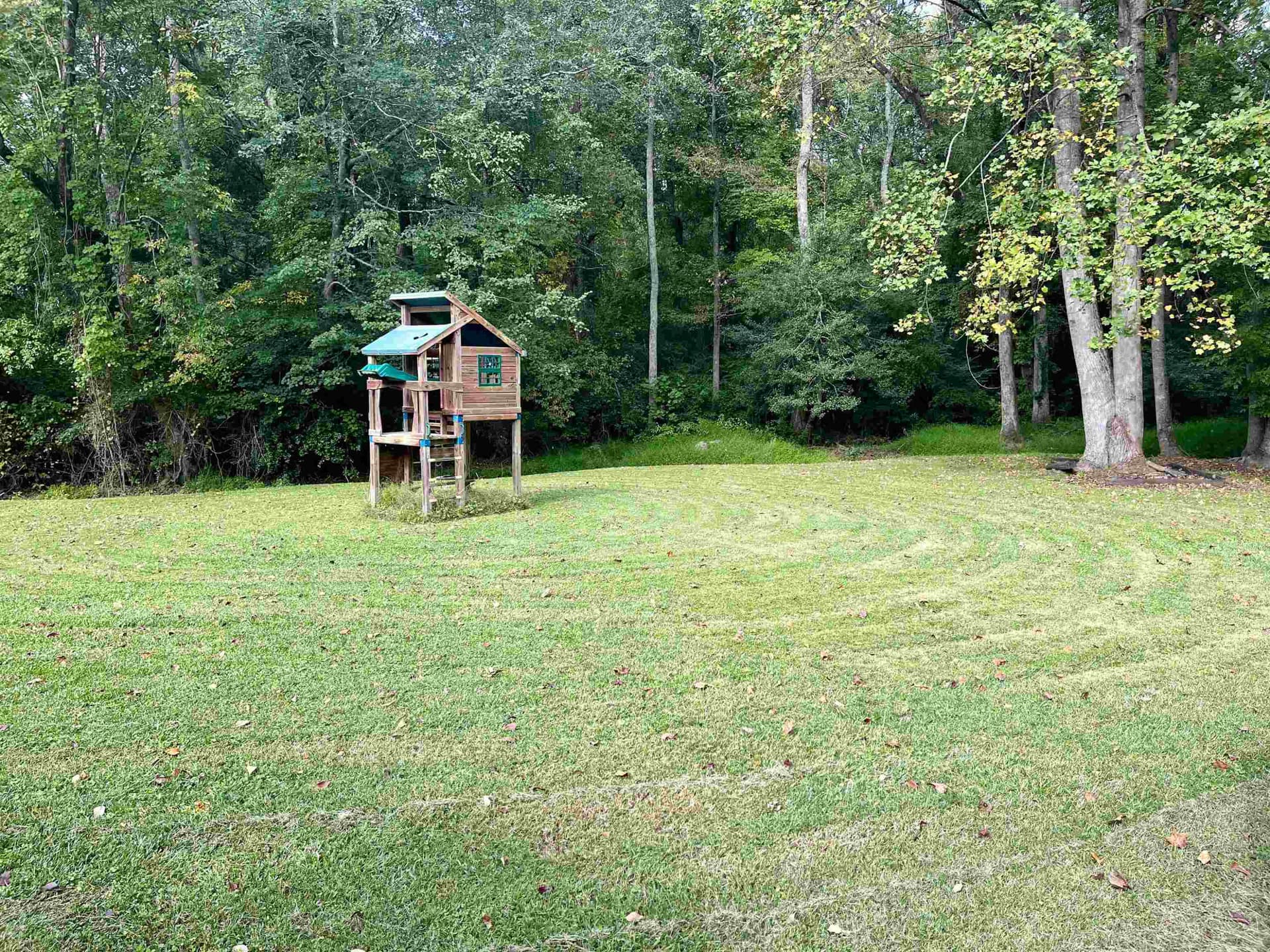 BACK YARD - 1229 Tulip Street, Clayton, NC 27520