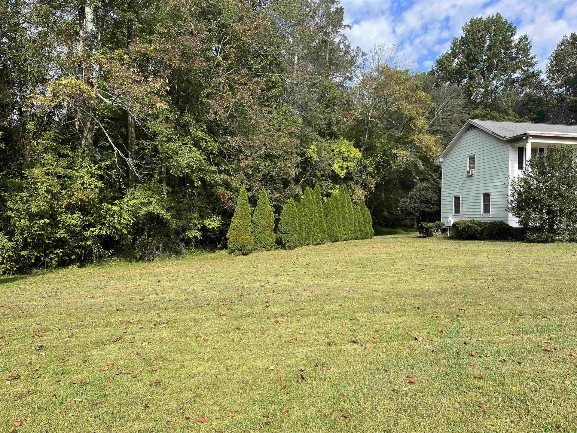 SIDE YARD - 1229 Tulip Street, Clayton, NC 27520
