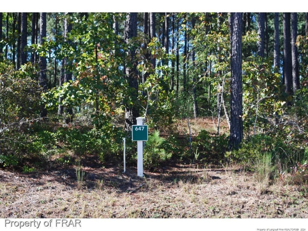 Photo 2 - 125 Broadlake (647) Lane, Spring Lake, NC 28390