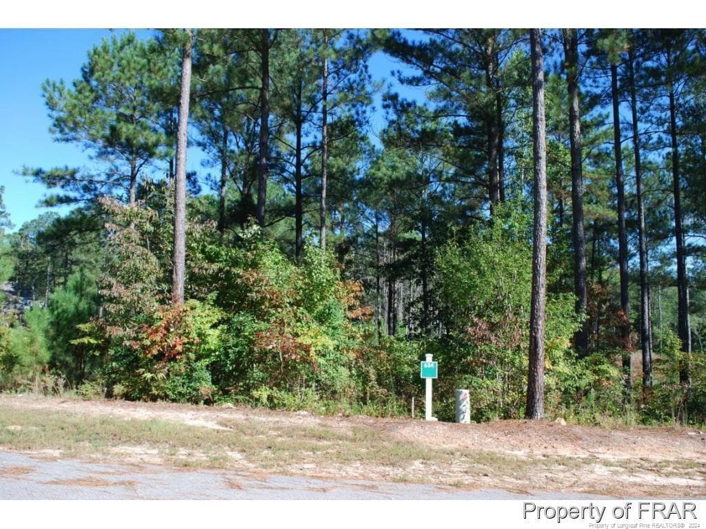 132 Broadlake (634) Lane, Spring Lake, NC 28390
